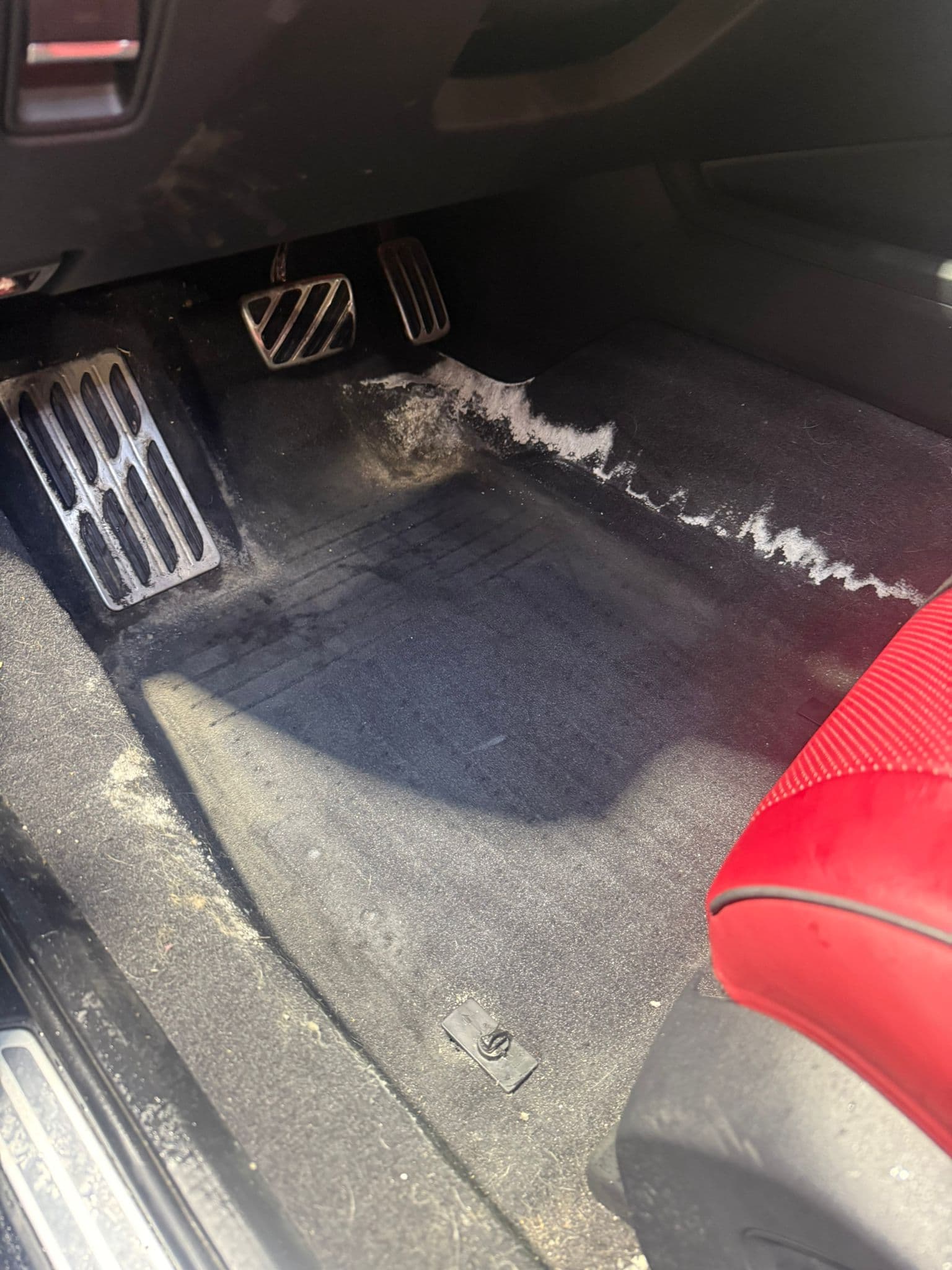 Complete Carpet Restoration - Before